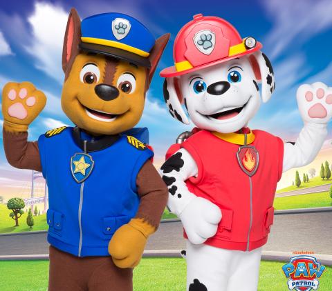 Paw Patrol Forest Hill Chase