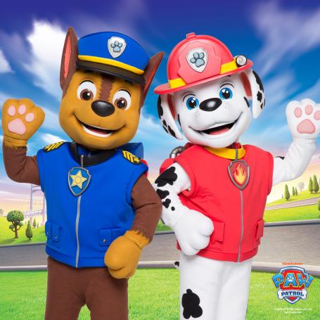 Paw Patrol Forest Hill Chase