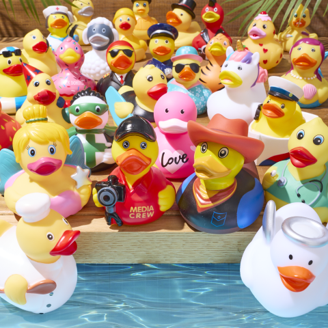 Reject Shop Collectable Ducks