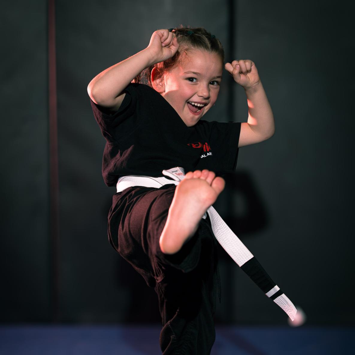 Dynamic martial arts open day
